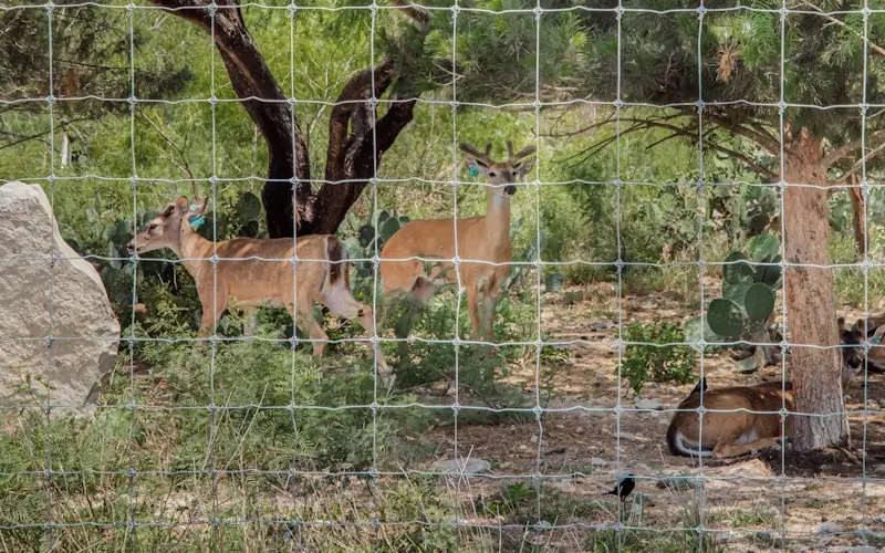 Imagen de Malla Triple Nudo Venadera XTREME®